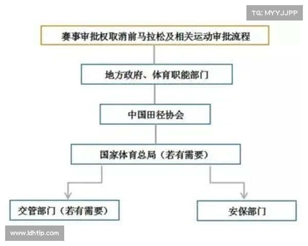 全面解析我国民间赛事审批体系的发展历程现状问题及优化路径